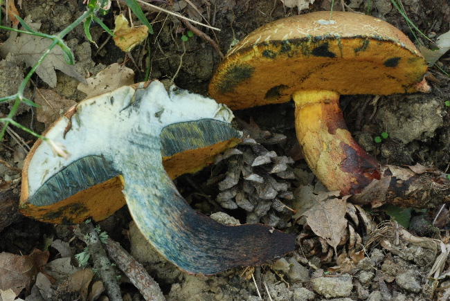 Uscita del 18 Cima di Tuoro (PG)